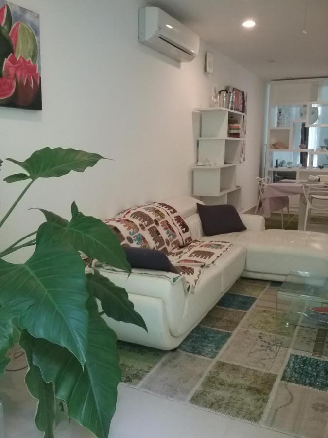 Casa Rioja Playacar Bed & Breakfast Playa del Carmen Exterior photo