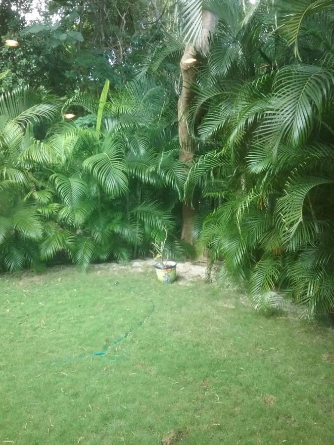 Casa Rioja Playacar Bed & Breakfast Playa del Carmen Exterior photo